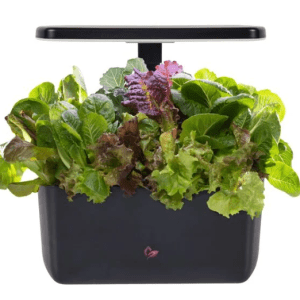 Harvest Aerogarden