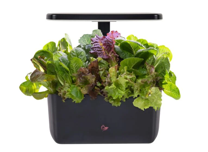 Harvest Aerogarden
